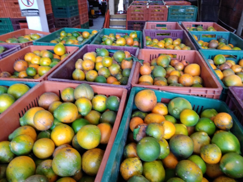 Naranja tangelo