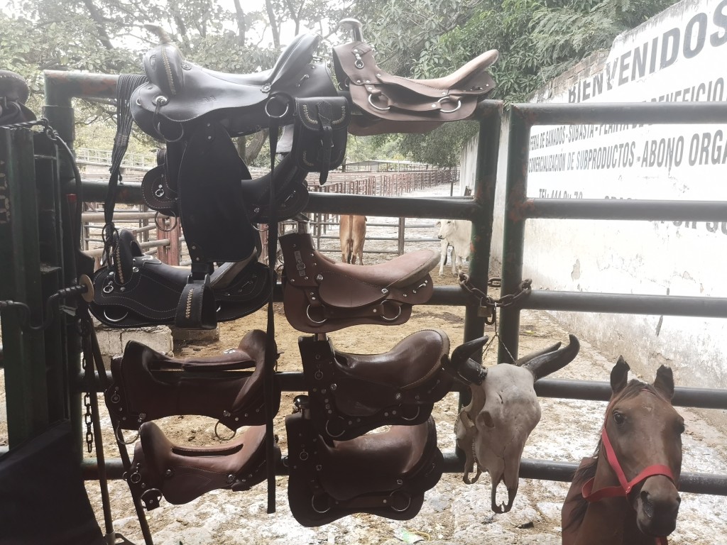 Monturas /Aperos para Equinos