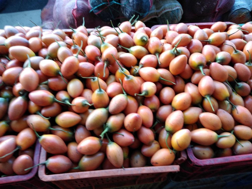Tomate de árbol 1ra
