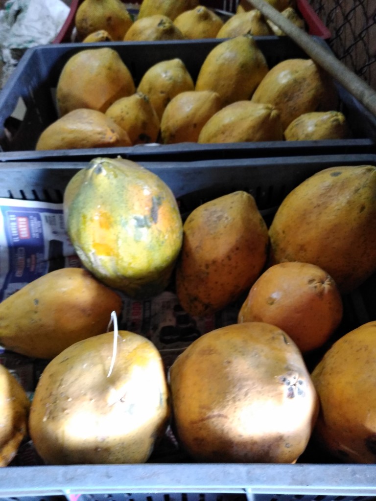 Papaya
