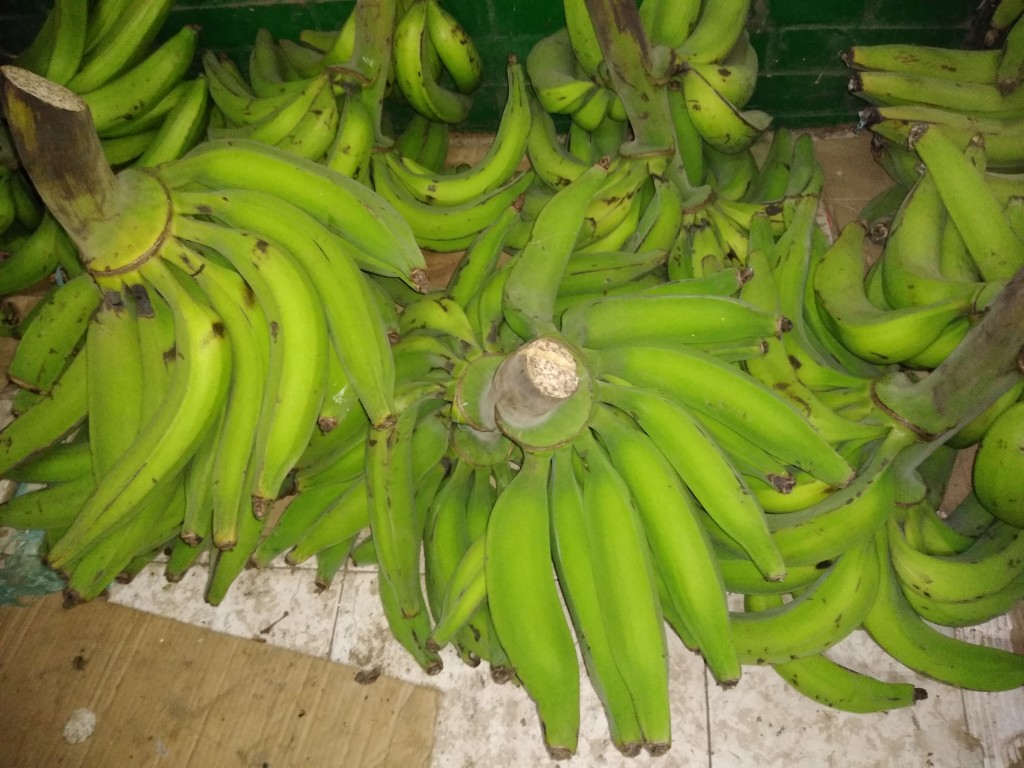 Plátano harton
