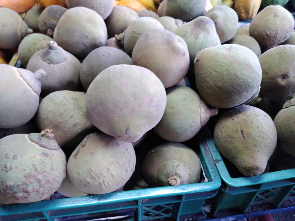 Sapote injerto