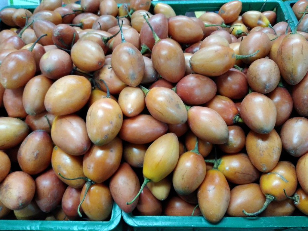 Tomate de árbol