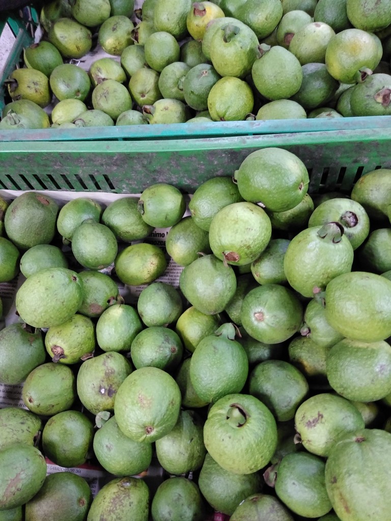 Guayaba agria 1ra