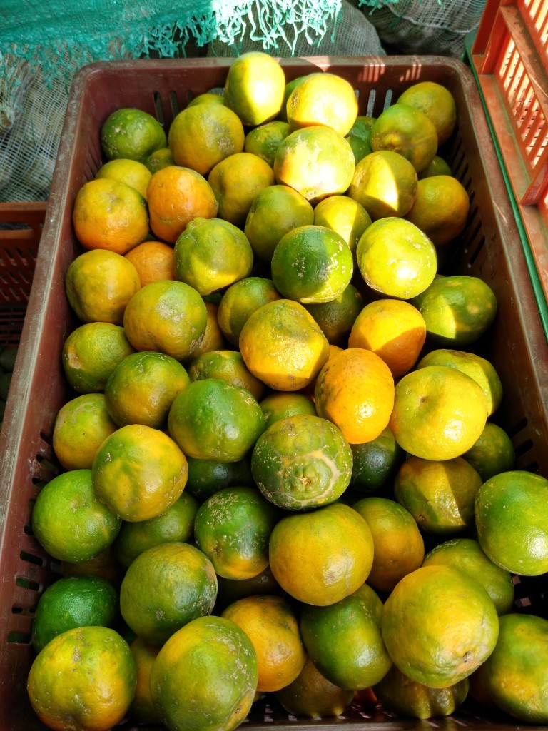Mandarina oneco