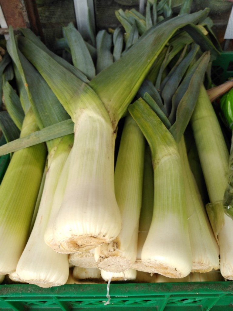 Cebolla puerro