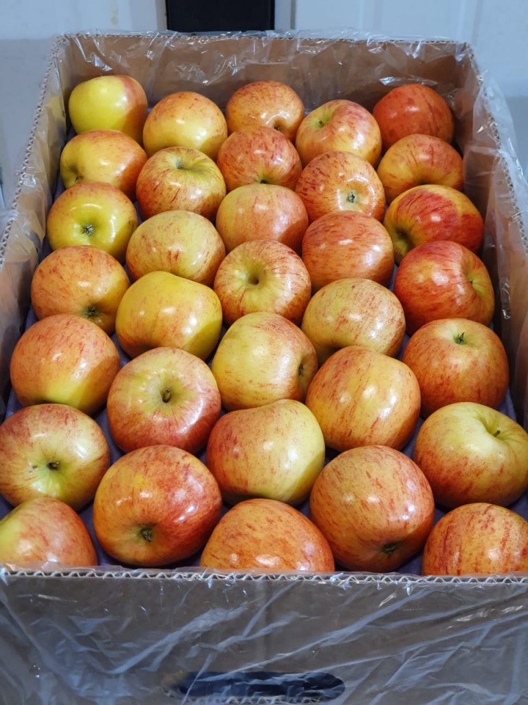 Manzana