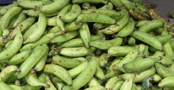 Platano
