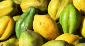 Papayuela