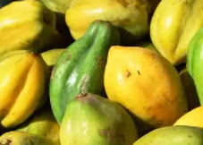 Papayuela