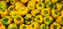 Pimenton amarillo