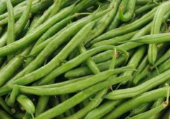 Habichuelas