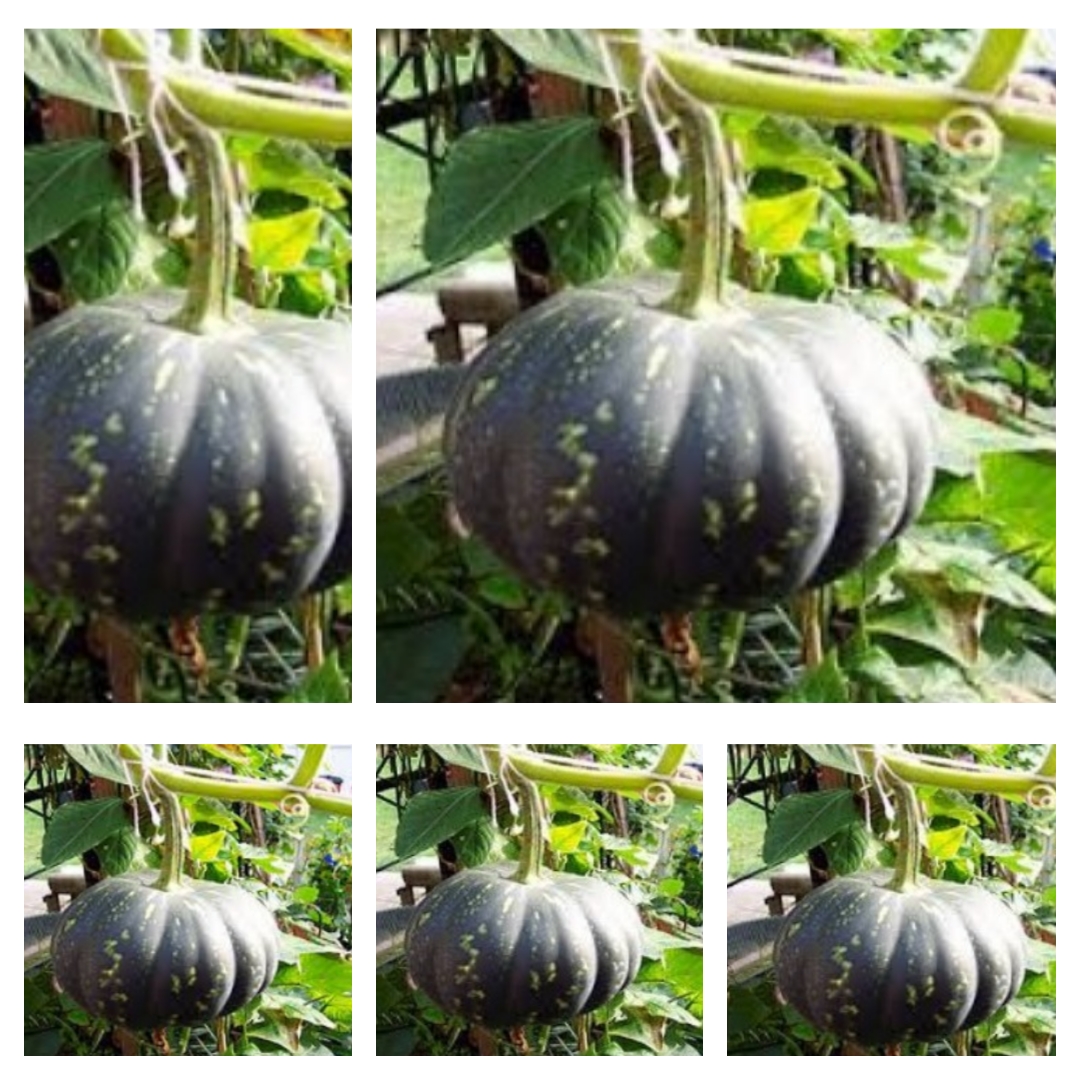 Calabaza