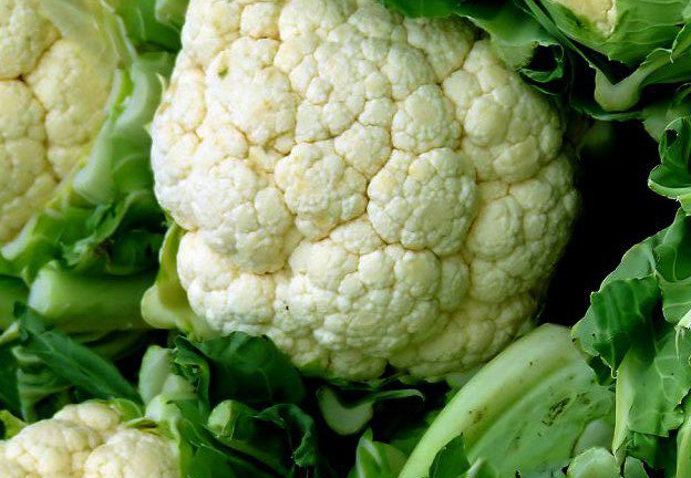 Coliflor