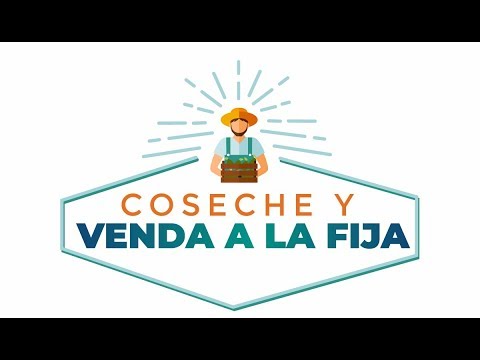 coseche y venda a la fija