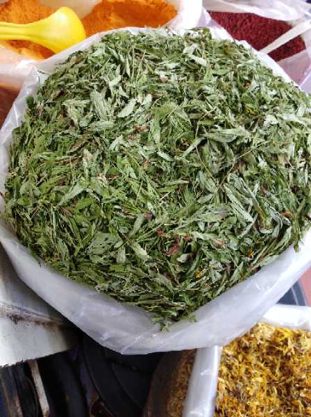 Stevia en hojas un endulzante natural