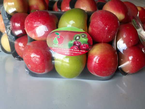 bandejas x 6.. gala,mixta, verde.