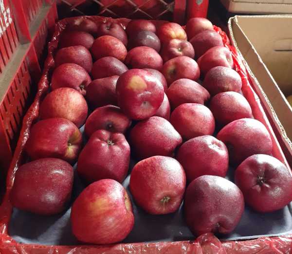 manzana roja calibre 125
