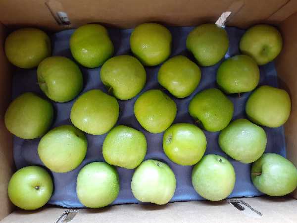manzana verde calibre 113