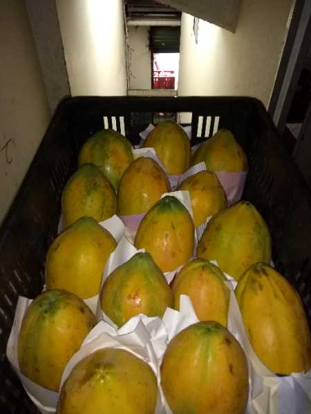 Papaya tainung (25kg)