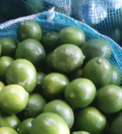 Limon