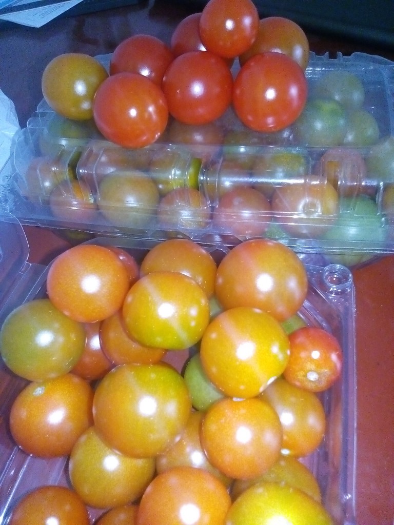 Tomate cherry hidroponico