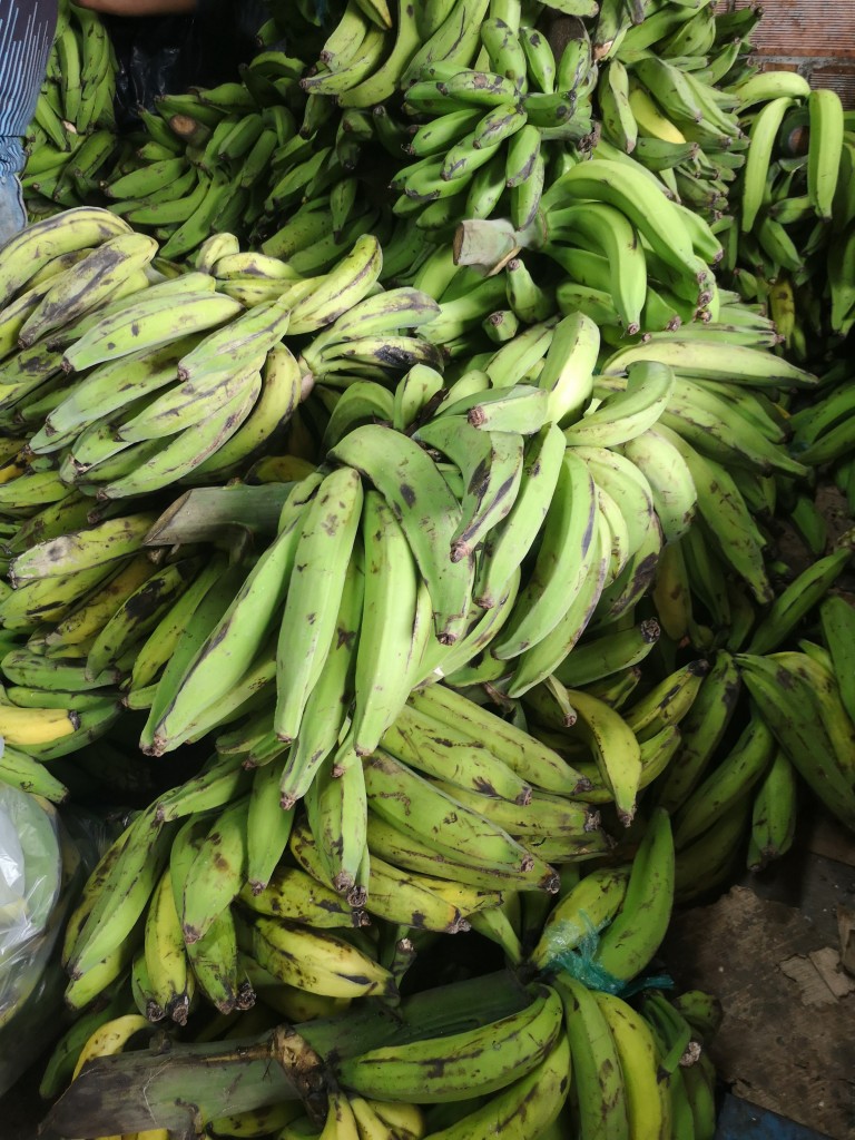 Platano verde