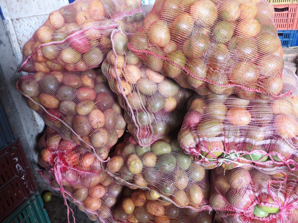 Maracuya