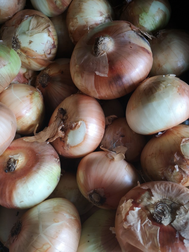 Cebolla de Huevo/bulto*45kg
