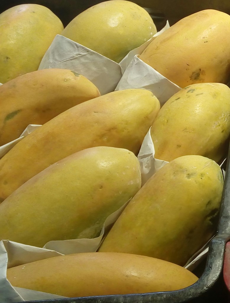 Papaya