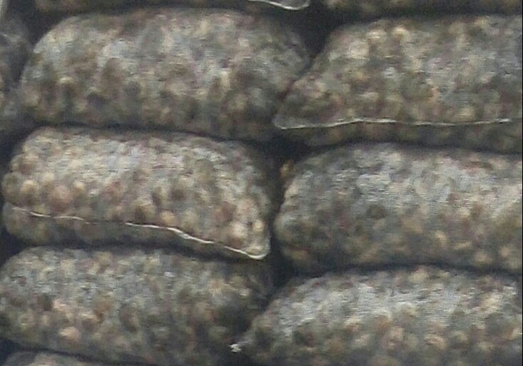 Papa pastusa