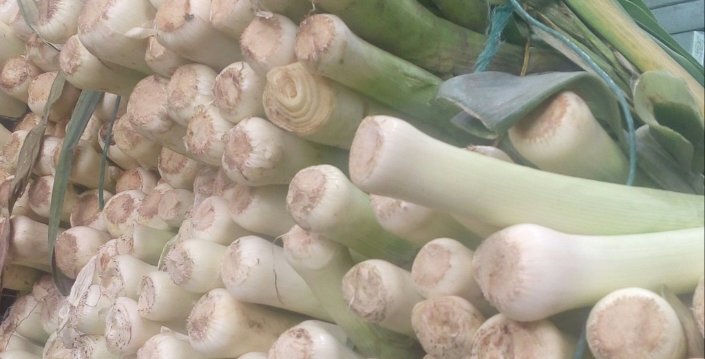 Cebolla puerro