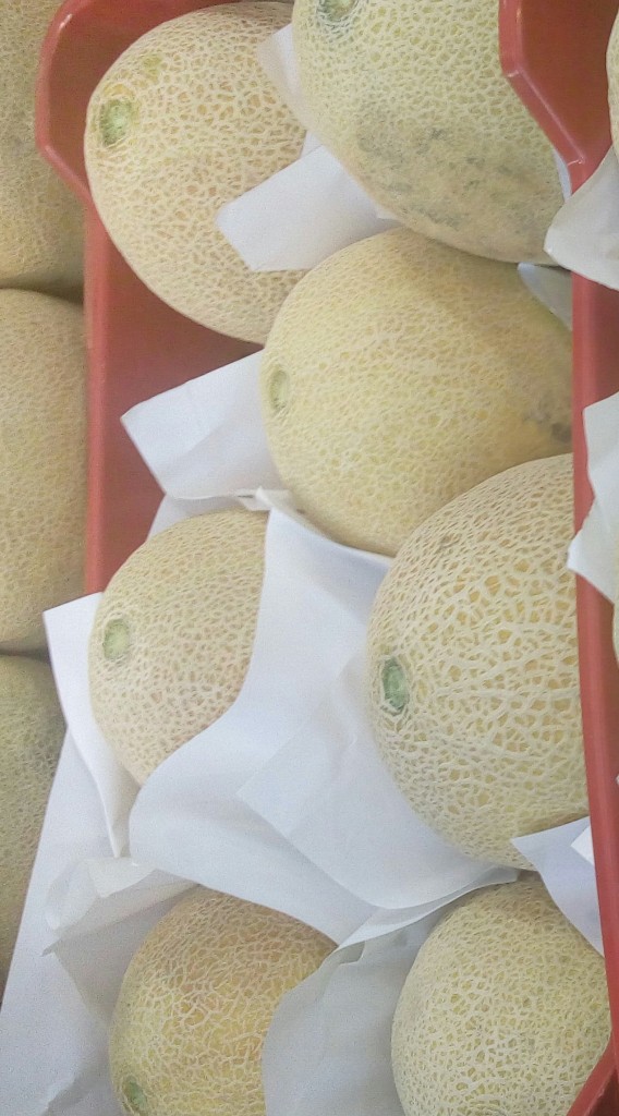 Melon