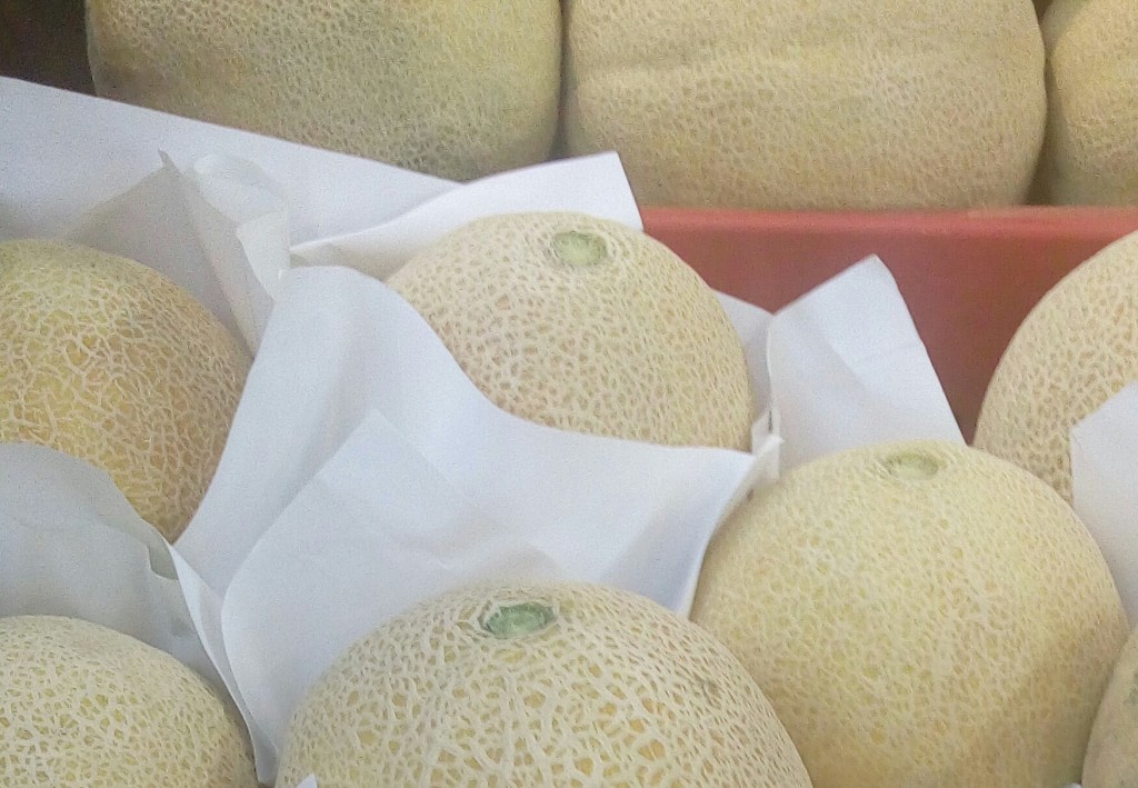 Melon