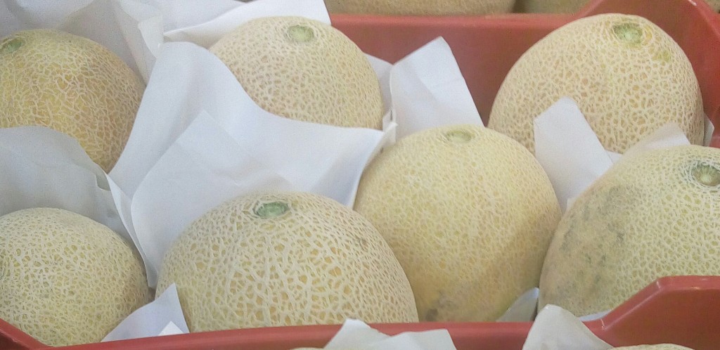 Melon