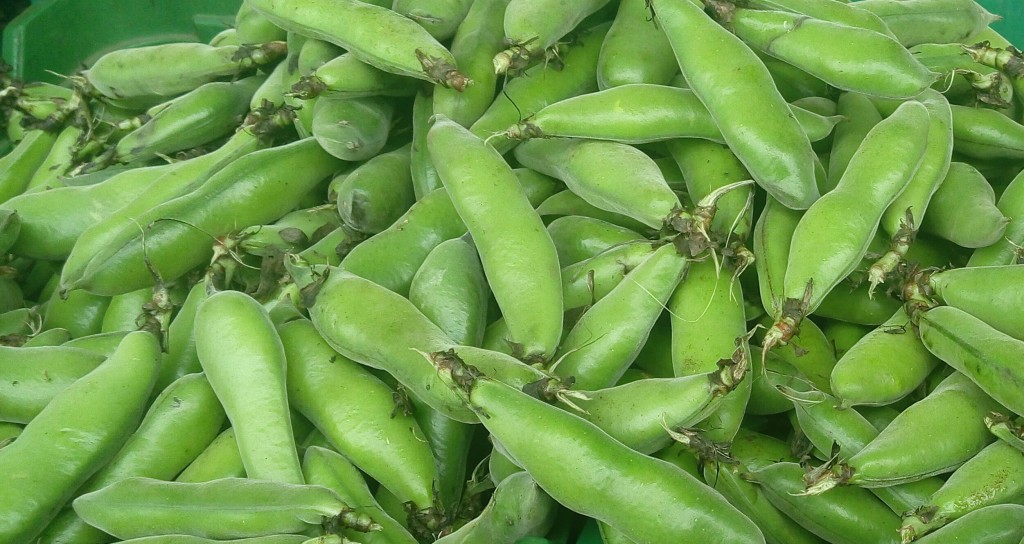 Arveja en cascara