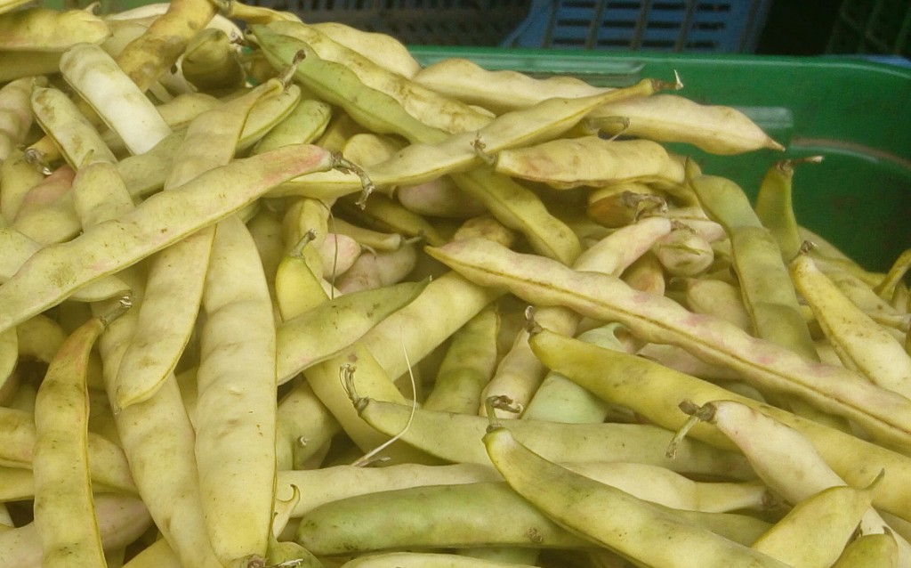 Frijol en cascara