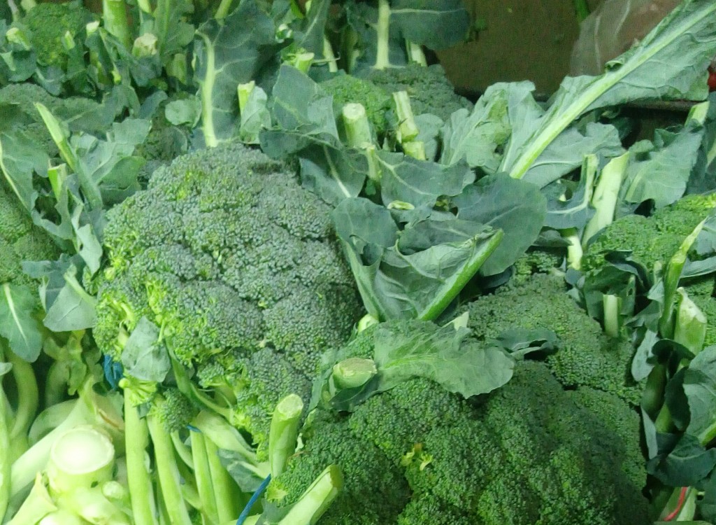 Brocoli