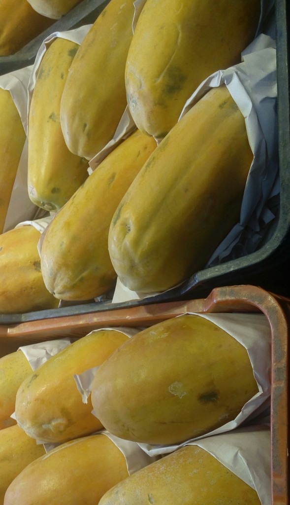 Papaya