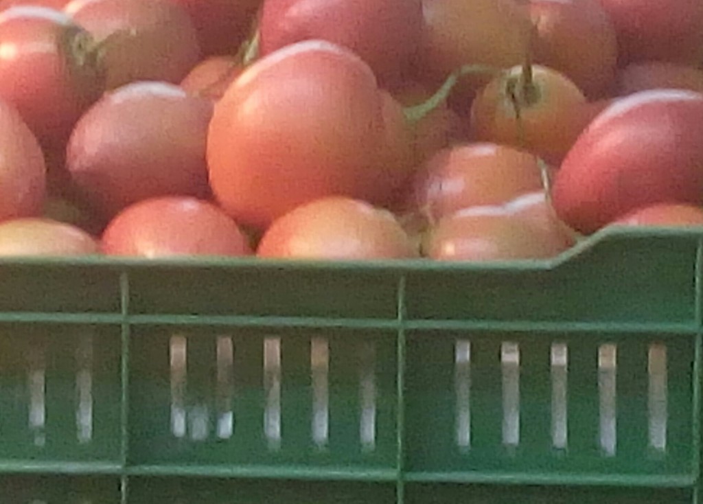 Tomate de arbol