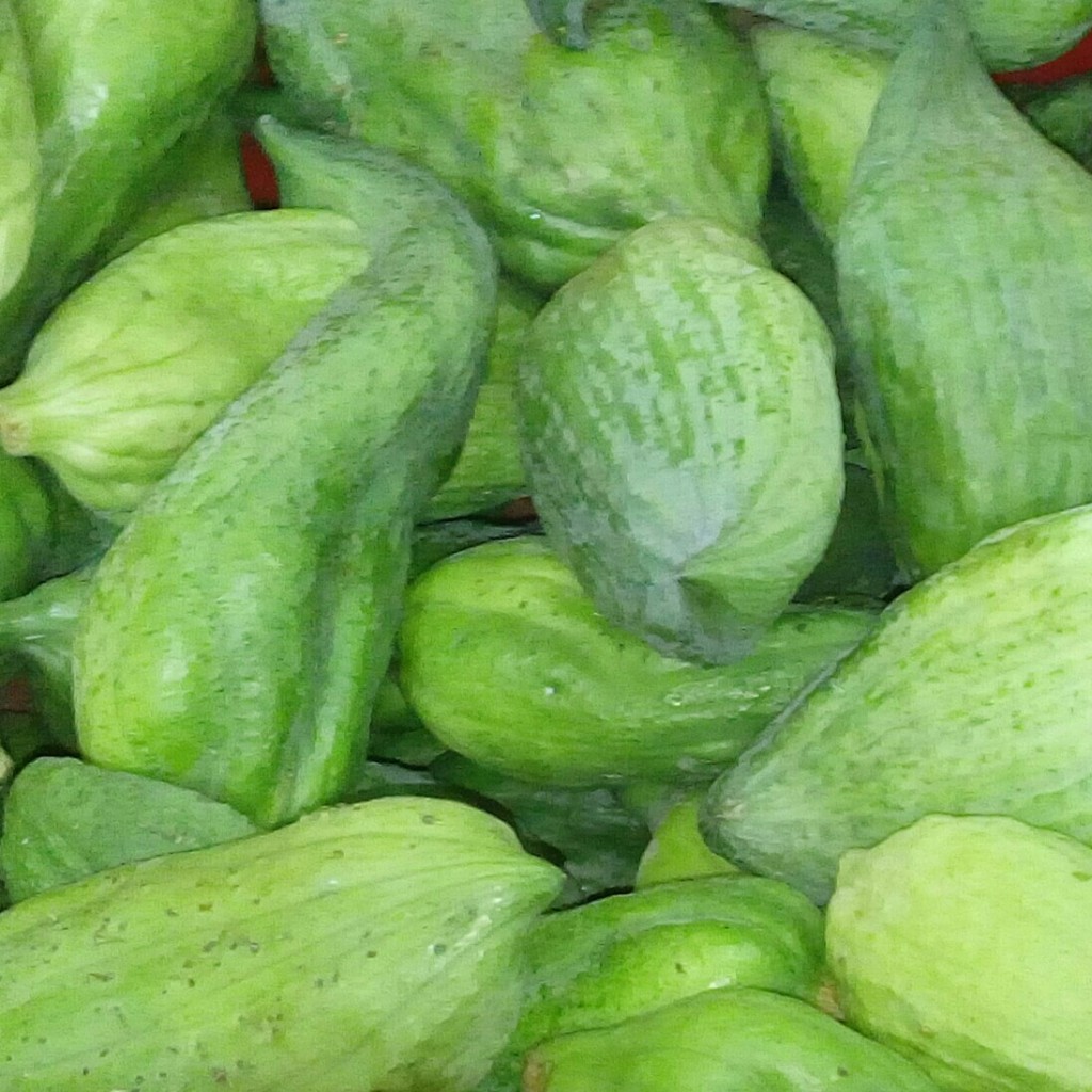 Pepino para guiso