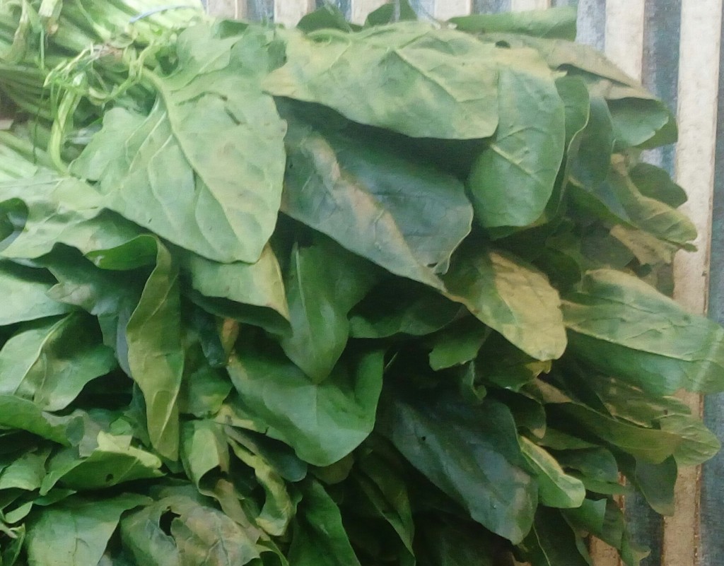 Espinacas