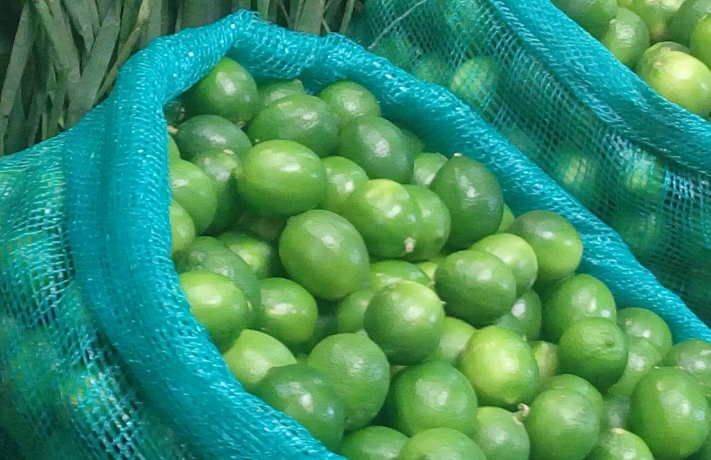 Limon tahiti