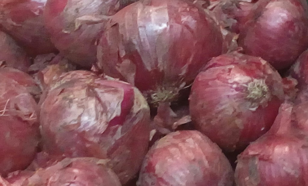 Cebolla cabezona morada