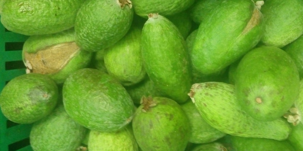 Feijoa