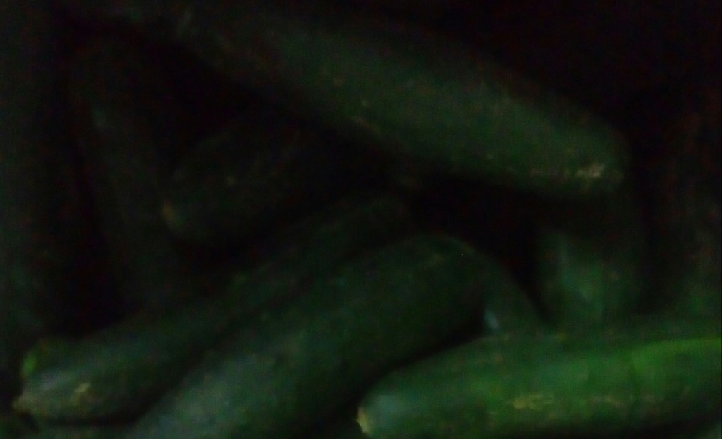 Pepino cohombro