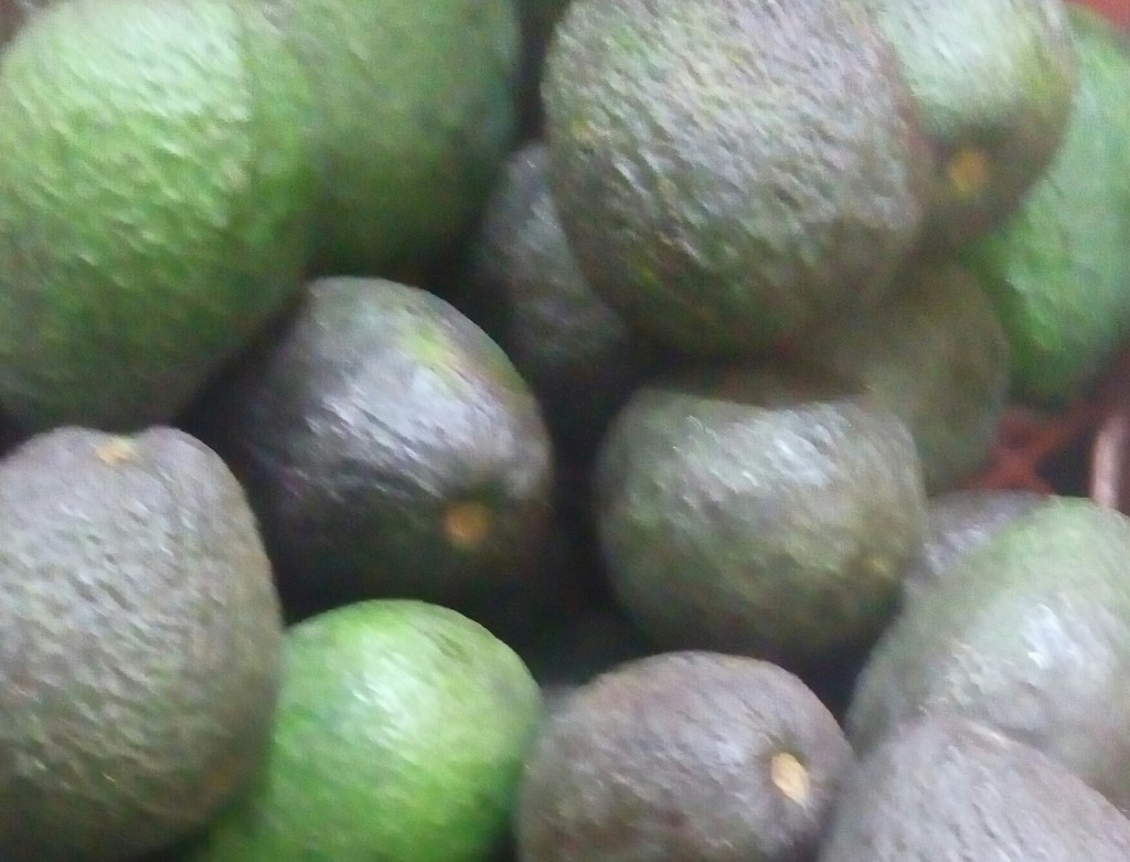Aguacate Hass