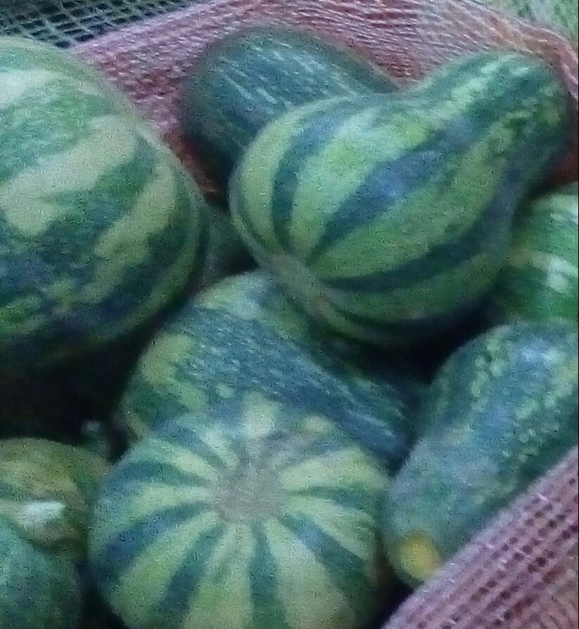 Ahuyama Sapayo