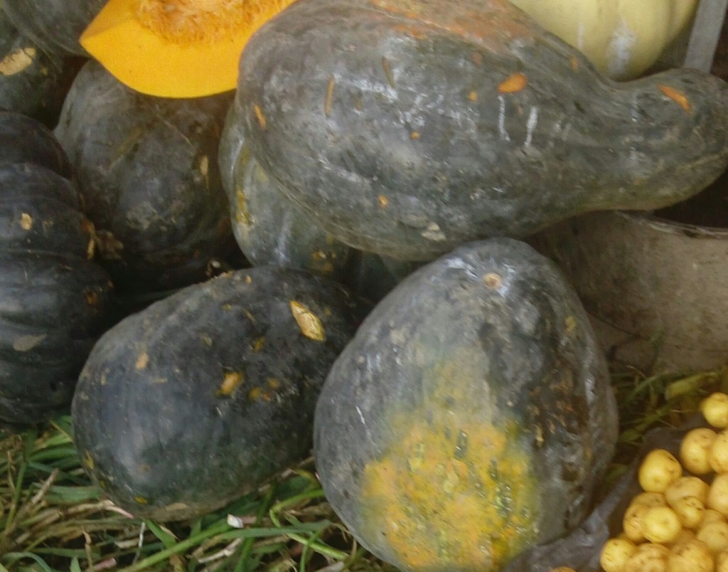 Ahuyama
