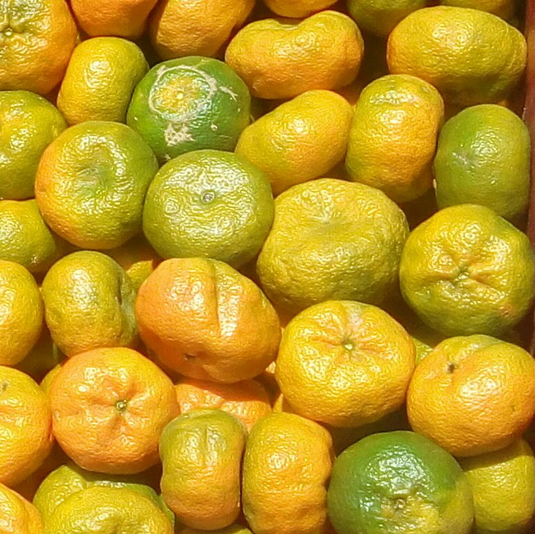 Mandarinas